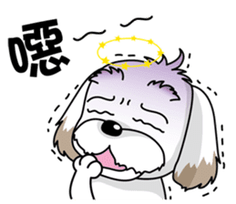 2 Shih Tzu Brothers-Part2 sticker #10471636