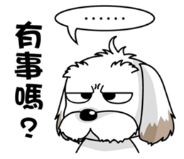 2 Shih Tzu Brothers-Part2 sticker #10471637