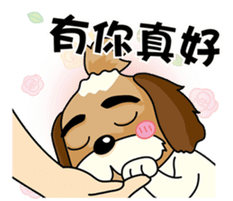 2 Shih Tzu Brothers-Part2 sticker #10471638