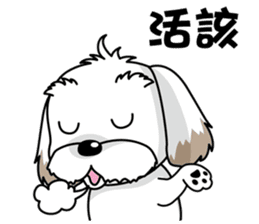 2 Shih Tzu Brothers-Part2 sticker #10471640