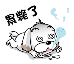 2 Shih Tzu Brothers-Part2 sticker #10471645