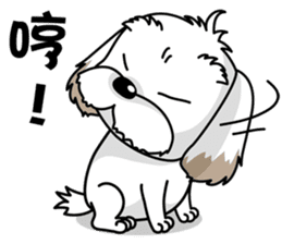 2 Shih Tzu Brothers-Part2 sticker #10471652