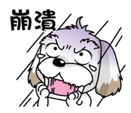 2 Shih Tzu Brothers-Part2 sticker #10471653