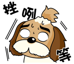 2 Shih Tzu Brothers-Part2 sticker #10471654