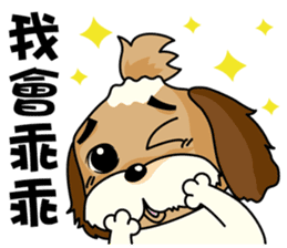 2 Shih Tzu Brothers-Part2 sticker #10471658