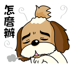 2 Shih Tzu Brothers-Part2 sticker #10471659