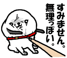 Group talk.That bird with friends. sticker #10471720