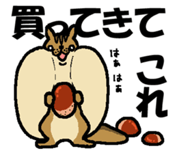 Group talk.That bird with friends. sticker #10471730