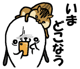 Group talk.That bird with friends. sticker #10471734