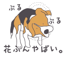 I love my beagle! 3 sticker #10471844