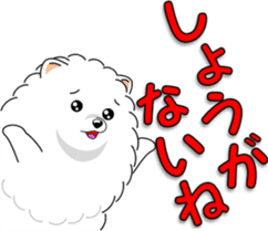Pomeranian 3 "white Pomeranian" sticker #10472307