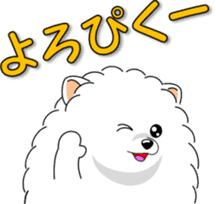 Pomeranian 3 "white Pomeranian" sticker #10472309