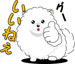 Pomeranian 3 "white Pomeranian" sticker #10472312