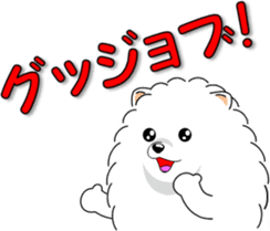 Pomeranian 3 "white Pomeranian" sticker #10472313