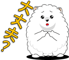 Pomeranian 3 "white Pomeranian" sticker #10472318