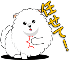 Pomeranian 3 "white Pomeranian" sticker #10472321