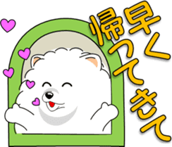 Pomeranian 3 "white Pomeranian" sticker #10472327