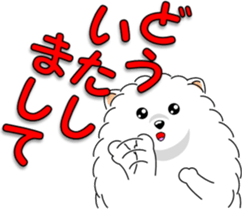 Pomeranian 3 "white Pomeranian" sticker #10472334