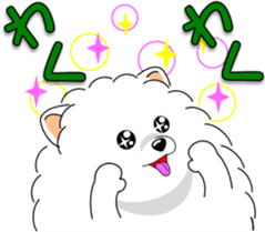 Pomeranian 3 "white Pomeranian" sticker #10472335