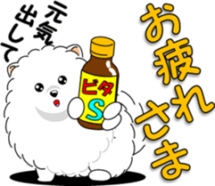 Pomeranian 3 "white Pomeranian" sticker #10472336