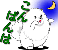 Pomeranian 3 "white Pomeranian" sticker #10472341