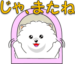Pomeranian 3 "white Pomeranian" sticker #10472342