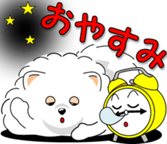 Pomeranian 3 "white Pomeranian" sticker #10472343