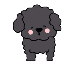 Cute puppy Toipudoru of Noah sticker #10477270