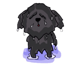 Cute puppy Toipudoru of Noah sticker #10477293