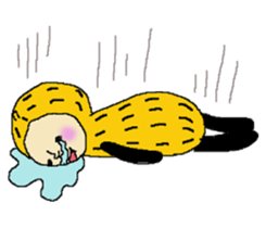 PEANUT CHANNEL sticker #10478512