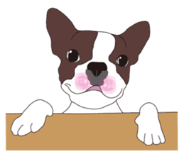 Always be with you! Boston Terrier sticker #10478808