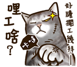 Cut Cat Help you speak sticker #10480108