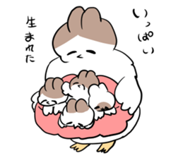 Mother of the bird sticker #10480731