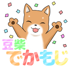 little mame shiba ( Large letters )