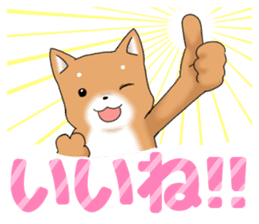 little mame shiba ( Large letters ) sticker #10481627