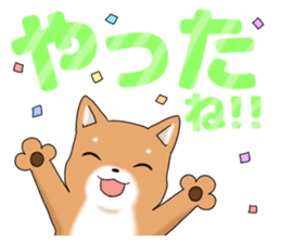 little mame shiba ( Large letters ) sticker #10481628