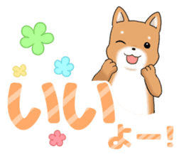 little mame shiba ( Large letters ) sticker #10481631