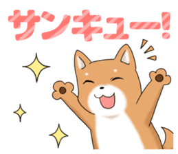 little mame shiba ( Large letters ) sticker #10481635