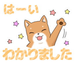 little mame shiba ( Large letters ) sticker #10481638