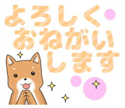 little mame shiba ( Large letters ) sticker #10481639