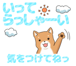 little mame shiba ( Large letters ) sticker #10481641