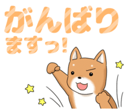 little mame shiba ( Large letters ) sticker #10481644