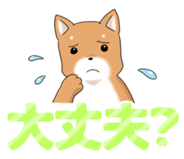 little mame shiba ( Large letters ) sticker #10481646