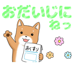 little mame shiba ( Large letters ) sticker #10481649