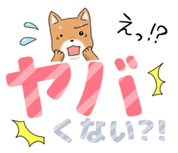 little mame shiba ( Large letters ) sticker #10481657