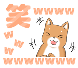 little mame shiba ( Large letters ) sticker #10481659