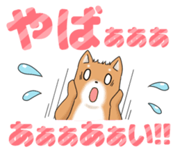 little mame shiba ( Large letters ) sticker #10481660