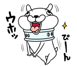 Gikkulee sticker #10487606