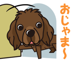 iinu - Newfoundland sticker #10488229