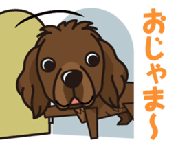 iinu - Newfoundland sticker #10488229